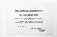 Cladosporium iridis image